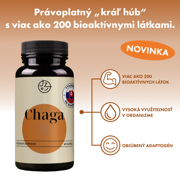 Chaga