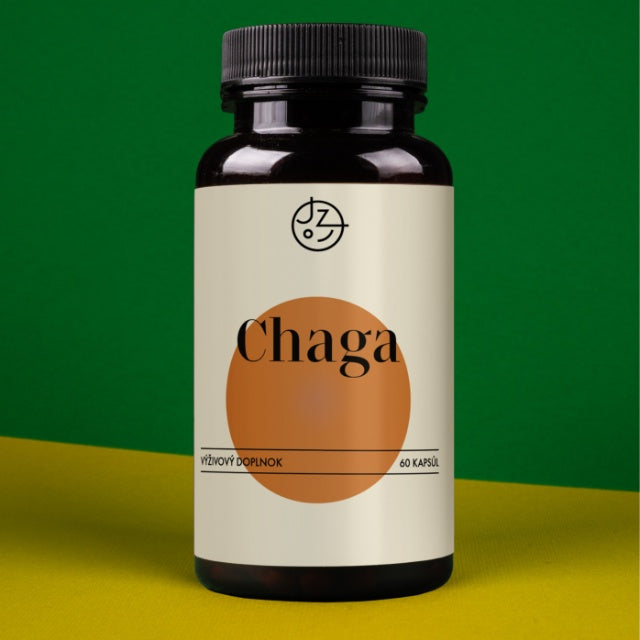 Chaga