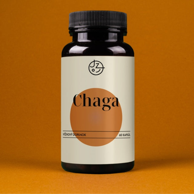 Chaga