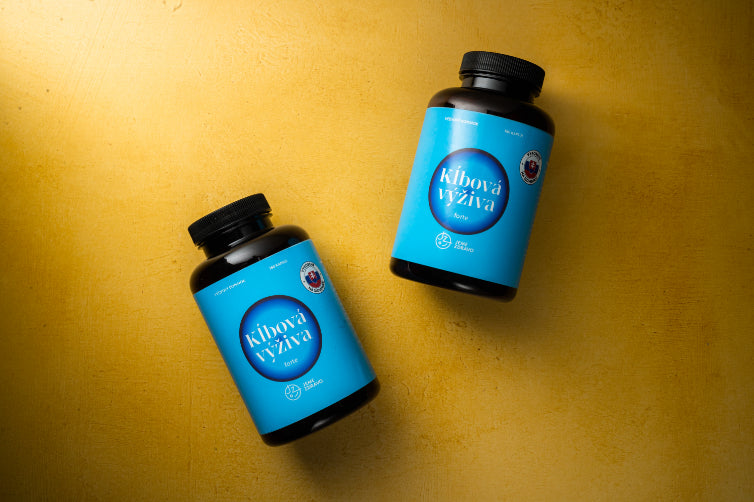 Kĺbová výživa FORTE