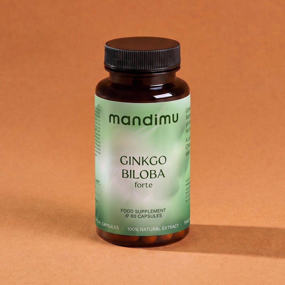 Ginkgo biloba FORTE
