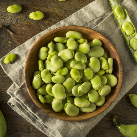 Fava fazuľky