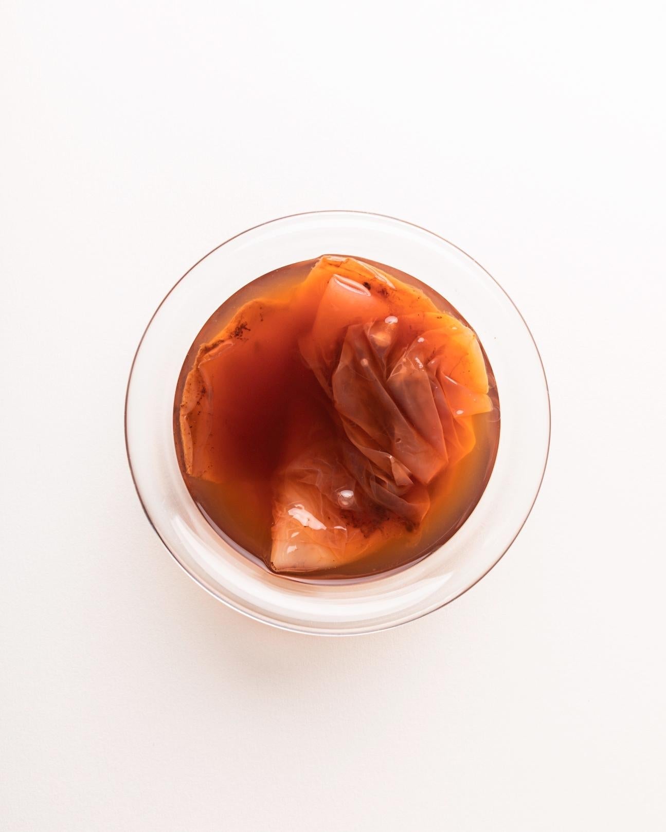 Kombucha z čierneho čaju