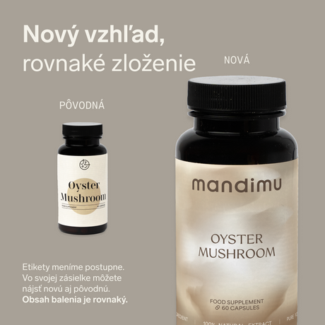 Hliva ustricová