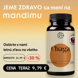 Chaga