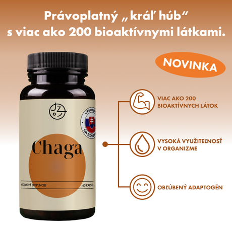 Chaga