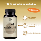 Hliva ustricová