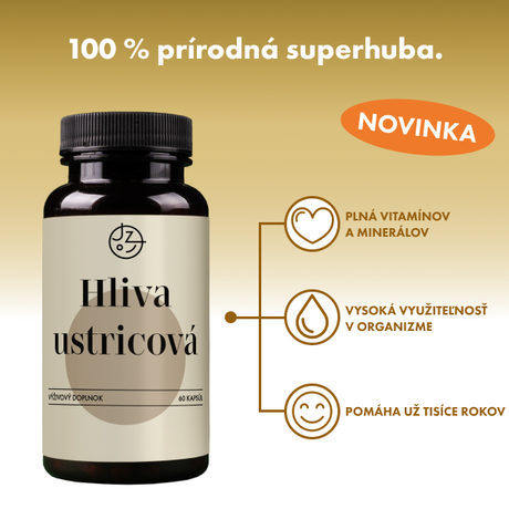Hliva ustricová
