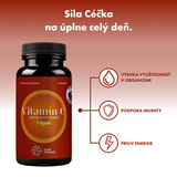 Vitamín C s postupným uvoľňovaním a výťažok zo šípok